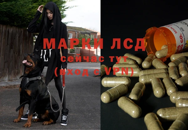 гашик Алексеевка