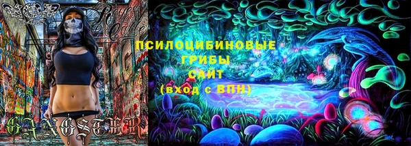 гашик Алексеевка