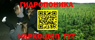 дмт Канаш