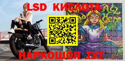 гидра Кандалакша