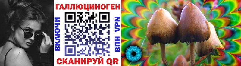 Галлюциногенные грибы Psilocybe  Серов 