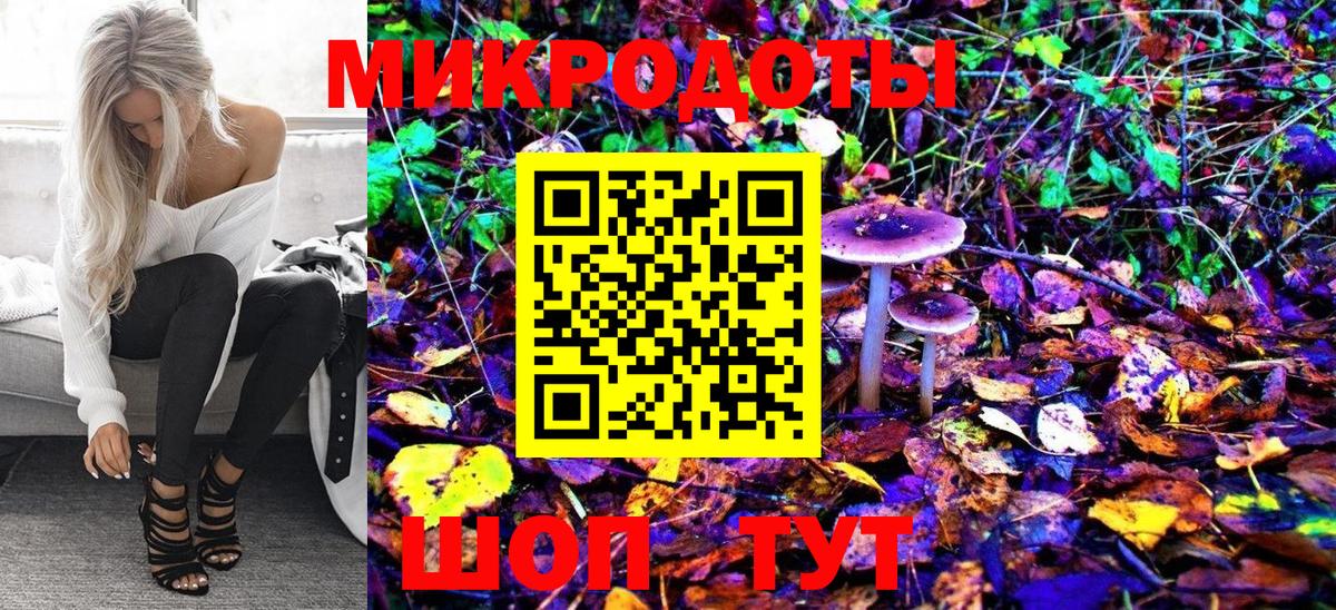 Псилоцибиновые грибы прущие грибы Серов